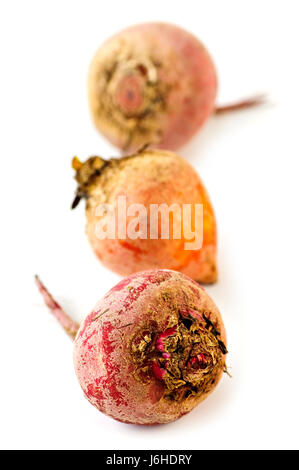 Aliment alimentaire légumes betteraves Les betteraves d'or rouge biologique fermer macro santé Banque D'Images