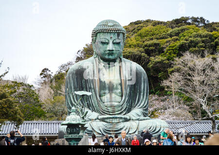 Kamakura, Kanagawa, Japon - 31 mars, 2014. Le Grand Bouddha de Kamakura Daibutsu de Kamakura () ,une statue de bronze de Bouddha Amida. Banque D'Images