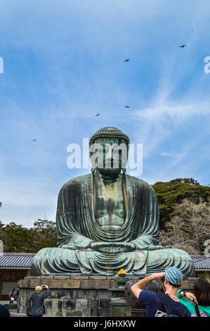 Kamakura, Kanagawa, Japon - 31 mars, 2014. Le Grand Bouddha de Kamakura Daibutsu de Kamakura () ,une statue de bronze de Bouddha Amida. Banque D'Images