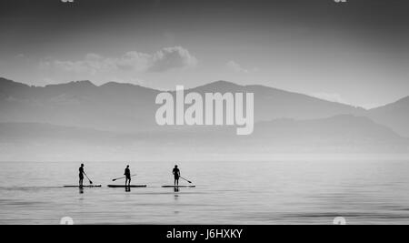 Paddle Boarders sur Lac Léman - Lac de Genève, Lausanne, Suisse Banque D'Images