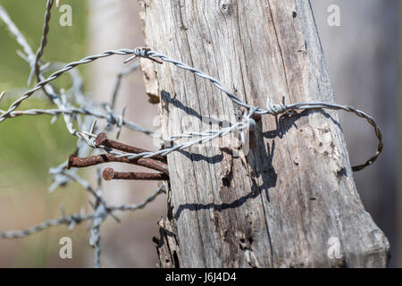 Barbed Wire Fence Post Up Fermer Banque D'Images