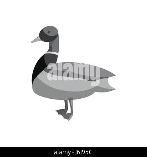 Canard colvert, icône style monochrome noir Illustration de Vecteur