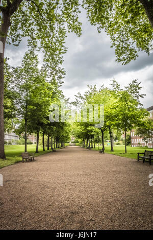 Gray's Inn Gardens à Londres, Royaume-Uni Banque D'Images