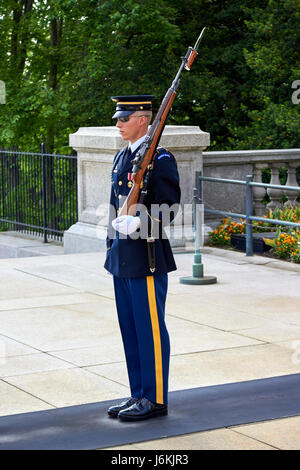 Sentinelle de la garde d'honneur garde tombe sur la tombe de l'inconnu le cimetière d'Arlington Washington DC USA Banque D'Images