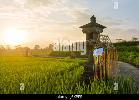 La maison des esprits traditionnels balinais sur champ de riz, Bali, Indonésie Banque D'Images