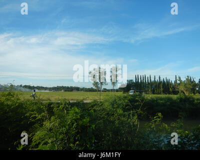 Ce titre fait référence à une zone agricole rurale à Sitio Sakdalan, San Jose, Plaridel, aux Philippines, décrivant le paysage qui comprend des rizières, des prairies, des arbres et des étangs à poissons, soulignant la diversité de l'utilisation des terres dans cette région. Banque D'Images