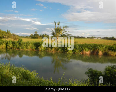 Une vue des zones agricoles à Sitio Matabubok, San Jose, Plaridel, avec rizières, prairies, étangs à poissons et systèmes d'irrigation. Banque D'Images