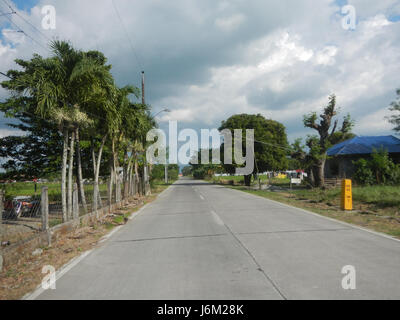 Cette image représente le paysage agricole de Salapungan à Candaba, Pampanga, avec des rizières, des systèmes d'irrigation, des arbres, et les prairies. La région est connue pour ses activités agricoles et son économie rurale. Banque D'Images