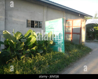 Cette image historique de 1864 montre les rizières et les prairies le long de Cortez Road à Concepcion, San Simon, Pampanga, Philippines. Ces champs étaient essentiels à l'économie agricole de la région. Banque D'Images