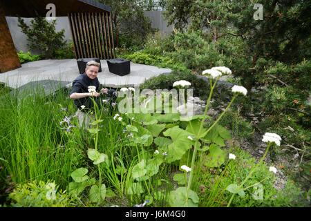 Charlotte Harris, le concepteur de la Banque Royale du Canada, le jardin travaille sur les derniers préparatifs sur le célèbre RHS Chelsea Flower Show à Londres, avant que l'événement s'ouvre au public le mardi. Banque D'Images