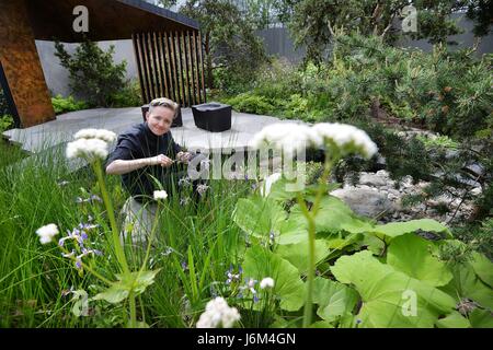 Charlotte Harris, le concepteur de la Banque Royale du Canada, le jardin travaille sur les derniers préparatifs sur le célèbre RHS Chelsea Flower Show à Londres, avant que l'événement s'ouvre au public le mardi. Banque D'Images