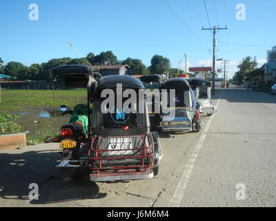 La photographie capture la vue panoramique des rizières et des prairies à Balucuc, Apalit, Pampanga, Philippines. L'image met l'accent sur la vie agricole, les systèmes d'irrigation et l'environnement verdoyant et luxuriant de la région. Banque D'Images