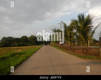L'image montre des rizières et des étangs le long de la route à San Ildefonso, Bulacan, Philippines, mettant en évidence le paysage agricole et l'industrie locale. Banque D'Images