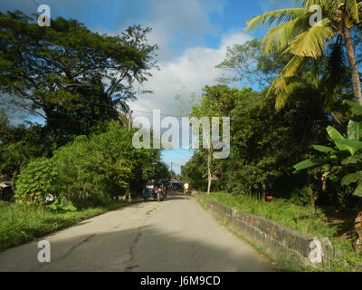 0601 rizières Bagong Silang Ilog-Bulo San Miguel marché agricole de Bulacan Road 22 Banque D'Images