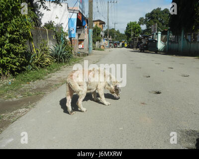 0885 Sipat Dampol Bulacan Plaridel Road 26 Banque D'Images