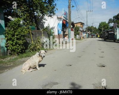 0885 Sipat Dampol Bulacan Plaridel Road 29 Banque D'Images