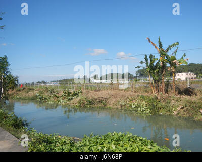 Cette image montre les rizières de Sipat, Plaridel, Bulacan, Philippines, ainsi que les routes du marché agricole, reflétant l'économie agricole et l'infrastructure de la région. Banque D'Images