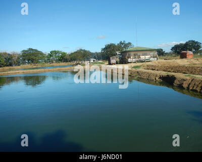 09367 Les étangs du poisson dans Malamig, Bustos, Bulacan 07 Banque D'Images