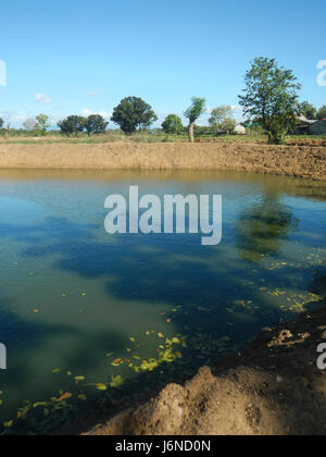 09367 Les étangs du poisson dans Malamig, Bustos, Bulacan 25 Banque D'Images