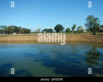 09367 Les étangs du poisson dans Malamig, Bustos, Bulacan 27 Banque D'Images
