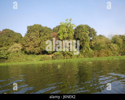 Les berges de Pulilan à Dampol Lumbac, Poblacion Lumang Bayan, Plaridel, Bulacan, sont des caractéristiques naturelles importantes dans la région, connues pour leurs paysages pittoresques et leurs vues sur la rivière. Banque D'Images