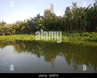 Cette image représente les berges de Pulilan à Dampol, Lumbac, Poblacion et Lumang Bayan, situés à Plaridel, Bulacan, mettant en valeur le paysage naturel et les voies navigables de la région. Banque D'Images