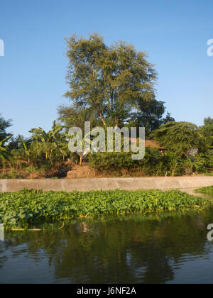 Les berges de Pulilan à Dampol, Lumbac, et Poblacion à Lumang Bayan, Plaridel, Bulacan, représentent des emplacements géographiques importants le long de la rivière. La région est connue pour ses activités agricoles, en particulier la riziculture, et son importance historique. Banque D'Images