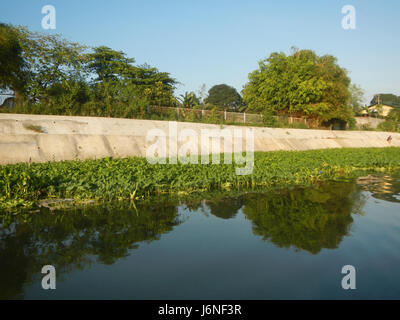 Les berges de Pulilan à Dampol, Lumbac, Poblacion, Lumang Bayan, Plaridel, Bulacan, sont des régions géographiques importantes dans la province. Ces zones sont connues pour leur beauté naturelle et jouent un rôle dans l’agriculture et l’écologie locales. Banque D'Images