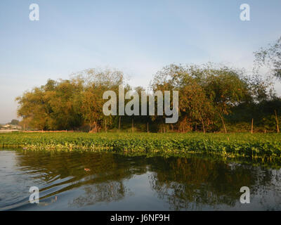 Ce titre fait référence à un emplacement spécifique le long de la rivière Pulilan à Bulacan, aux Philippines, en se concentrant sur les berges et les zones environnantes, y compris Dampol 11, Lumbac, Poblacion, et Lumang Bayan à Plaridel. Banque D'Images