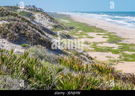 La ligne de dunes le long de la plage de Guana River State Park à Ponte Vedra Beach, en Floride. (USA) Banque D'Images