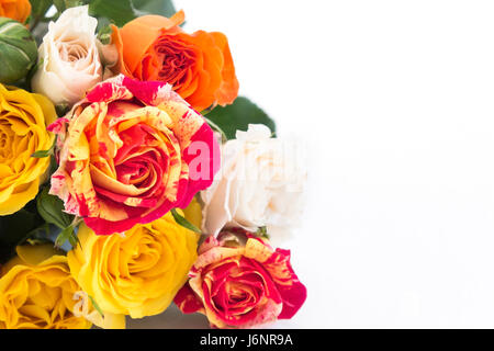 Bouquet de roses multicolores avec copie espace sur fond blanc. Banque D'Images