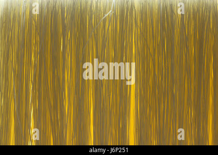 Macro image de fibres pinceau Banque D'Images