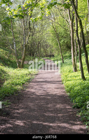 Le Sentier South Tyne près de piste cyclable Lambley le long de la branche de l'Alston désaffectées Newcastle Carlisle railway, Northumberland, England, UK Banque D'Images