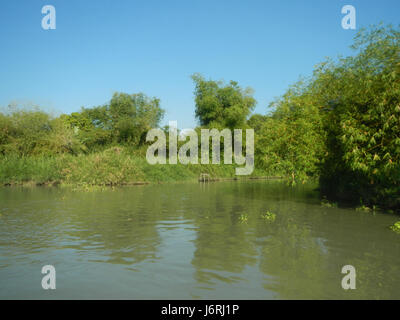 Ce titre fait probablement référence à un endroit aux Philippines, plus précisément près des rives de Meyto, Santa Lucia, Bulusan, Frances et Calumpit à Bulacan. La zone peut comporter des activités agricoles ou culturelles le long de ces berges. Banque D'Images