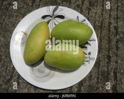 Cette image met en évidence la riche variété agricole de Bulacan, Philippines, en se concentrant sur les mangues, le chocolat et la papaye, ingrédients clés de la cuisine et de la culture de la région. Banque D'Images