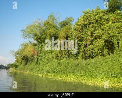 0587 Apalit Pulilan Plaridel Calumpit Bulacan 05 banques Rivière Pampanga Banque D'Images