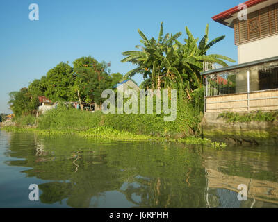 0587 Apalit Pulilan Plaridel Calumpit Bulacan 07 banques Rivière Pampanga Banque D'Images
