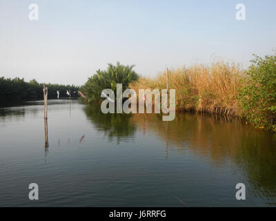 0837 River banks Calero Malolos San Jose 16 Paombong Bulacan Banque D'Images