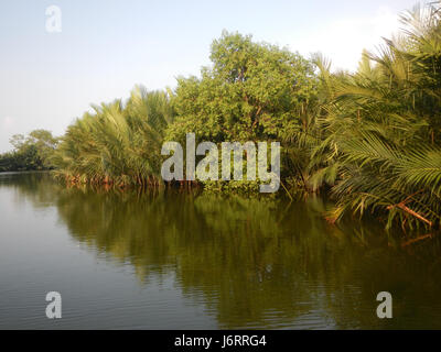 Ce titre fait référence à une situation géographique le long des berges près de Calero, Malolos, San José et Paombong dans la province de Bulacan aux Philippines. Il peut s'agir d'études du paysage local, de l'écologie ou des établissements humains le long de ces berges. Banque D'Images