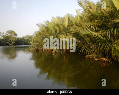 0837 River banks Calero Malolos San Jose 35 Paombong Bulacan Banque D'Images