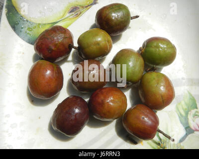 Les fruits de gâteau au poulet, également connus sous le nom de *Muntingia calabura*, sont des fruits tropicaux trouvés dans certaines parties de l'Amérique centrale et du Sud. Il est connu pour ses petits fruits sucrés et juteux qui ressemblent à des baies et sont souvent consommés frais ou utilisés dans les desserts. Banque D'Images