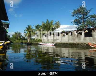 Une représentation environnementale et écologique des berges de Panasahan, Malolos City, Bulacan, mettant en valeur les espèces d'oiseaux locales et l'habitat naturel de la région. Banque D'Images