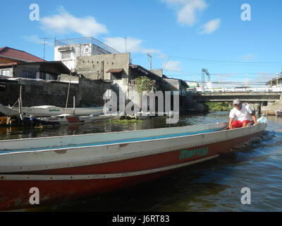 Cette image capture les berges et les oiseaux de Panasahan, une région de Malolos City, Bulacan, Philippines, mettant en valeur la beauté naturelle de la région. Banque D'Images