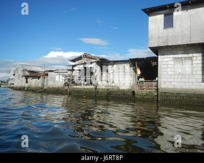 Cette photographie capture les rives de la rivière près de Panasahan, Malolos City, Bulacan, avec diverses espèces d'oiseaux. La région est connue pour sa beauté naturelle, avec ses zones humides et une variété d'oiseaux. La scène illustre la biodiversité locale et l'importance de préserver les habitats naturels dans les zones en urbanisation. Banque D'Images