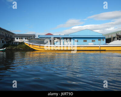 Cette photographie représente les berges d'Atlag Panasahan, Malolos City, Bulacan, avec des espèces d'oiseaux locales dans leur habitat naturel. Banque D'Images