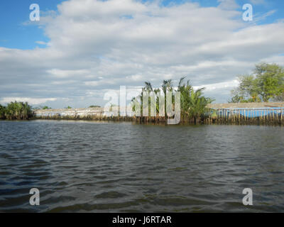 Cette photographie capture les rives de la rivière et les oiseaux d'Atlag Panasahan près de Malolos City, Bulacan, montrant le paysage naturel et la vie aviaire dans la région. Banque D'Images