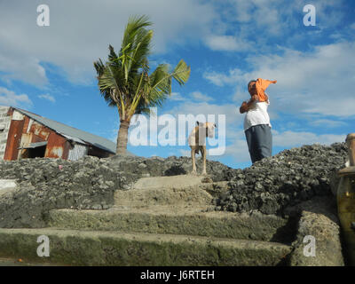 Cette image illustre les districts fluviaux de Malolos et Bulakan, en particulier les berges de Panasahan et San Nicolas. La scène illustre le rôle du riverâ€™ dans l'environnement local et le paysage environnant dans la province de Bulacan. Banque D'Images