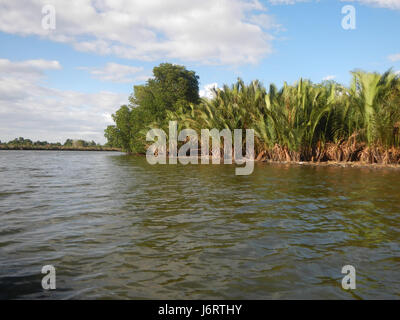 Cette photographie capture les rives des districts de Malolos et Bulakan, mettant en valeur le paysage paisible le long des rivières Panasahan et San Nicolas aux Philippines. Banque D'Images