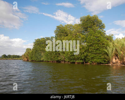 Ce titre fait référence aux districts fluviaux de Malolos, Bulakan, y compris Panasahan et San Nicolas, situés le long des berges. L'emplacement fait partie d'un plus grand réseau de rivières de la région, qui joue un rôle important dans le transport local et l'agriculture. Banque D'Images