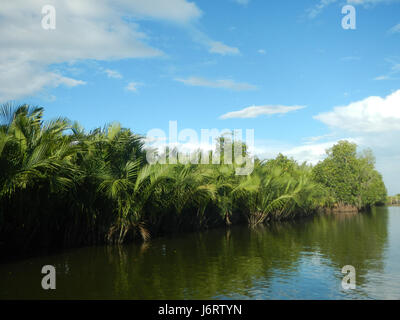 Cette image représente les rives de la rivière Malolos à Bulacan, mettant en évidence les districts fluviaux, y compris Panasahan et San Nicolas. Le paysage pittoresque et les voies navigables sont importants pour la communauté locale et ses moyens de subsistance. Banque D'Images